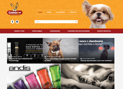 Desenvolvimento de Site outros serviços Kryzalis